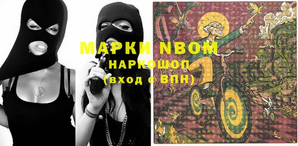 кокс Елизово