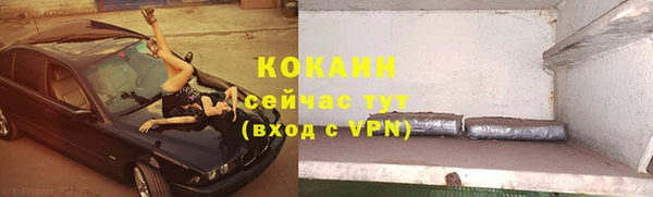 кокс Елизово
