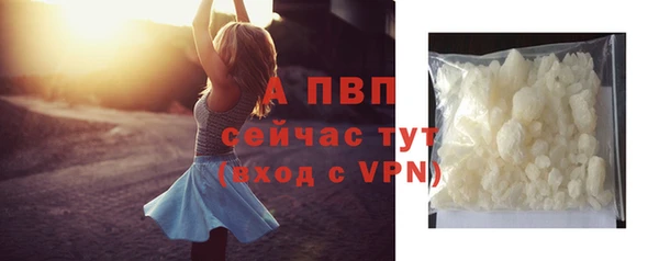 кокс Елизово