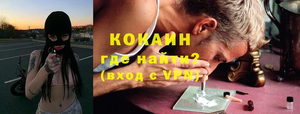 кокс Елизово